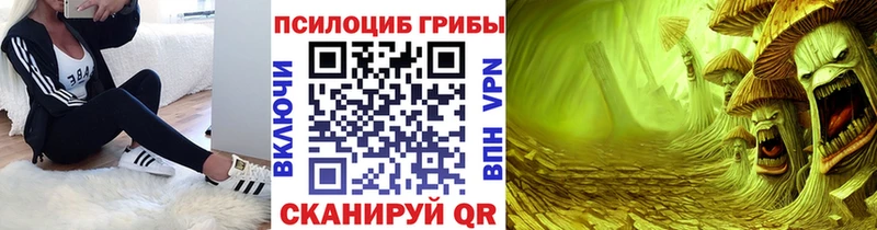 Галлюциногенные грибы Cubensis  kraken tor  Мамоново 