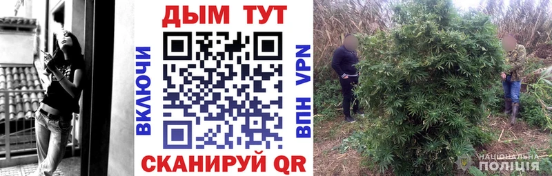 Конопля индика  Мамоново 